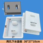 Two-Hole Drain Cover Plate