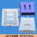 2-Hole Drain Cover Plate